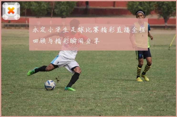 永定小学生足球比赛精彩直播全程回顾与精彩瞬间分享