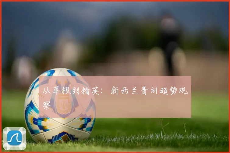 从草根到精英：新西兰青训趋势观察
